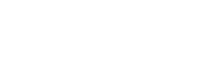 Brilliant Sole Logo Brilliant Sole Logo