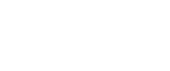 Brilliant Sole Logo